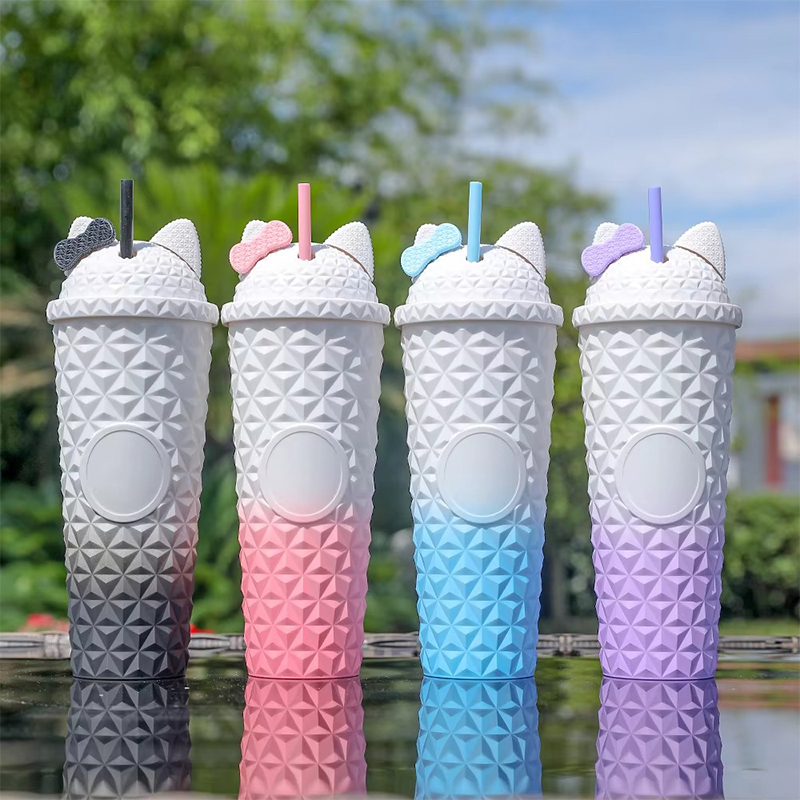 Reusable Environmentally Friendly Plastic Tumbler